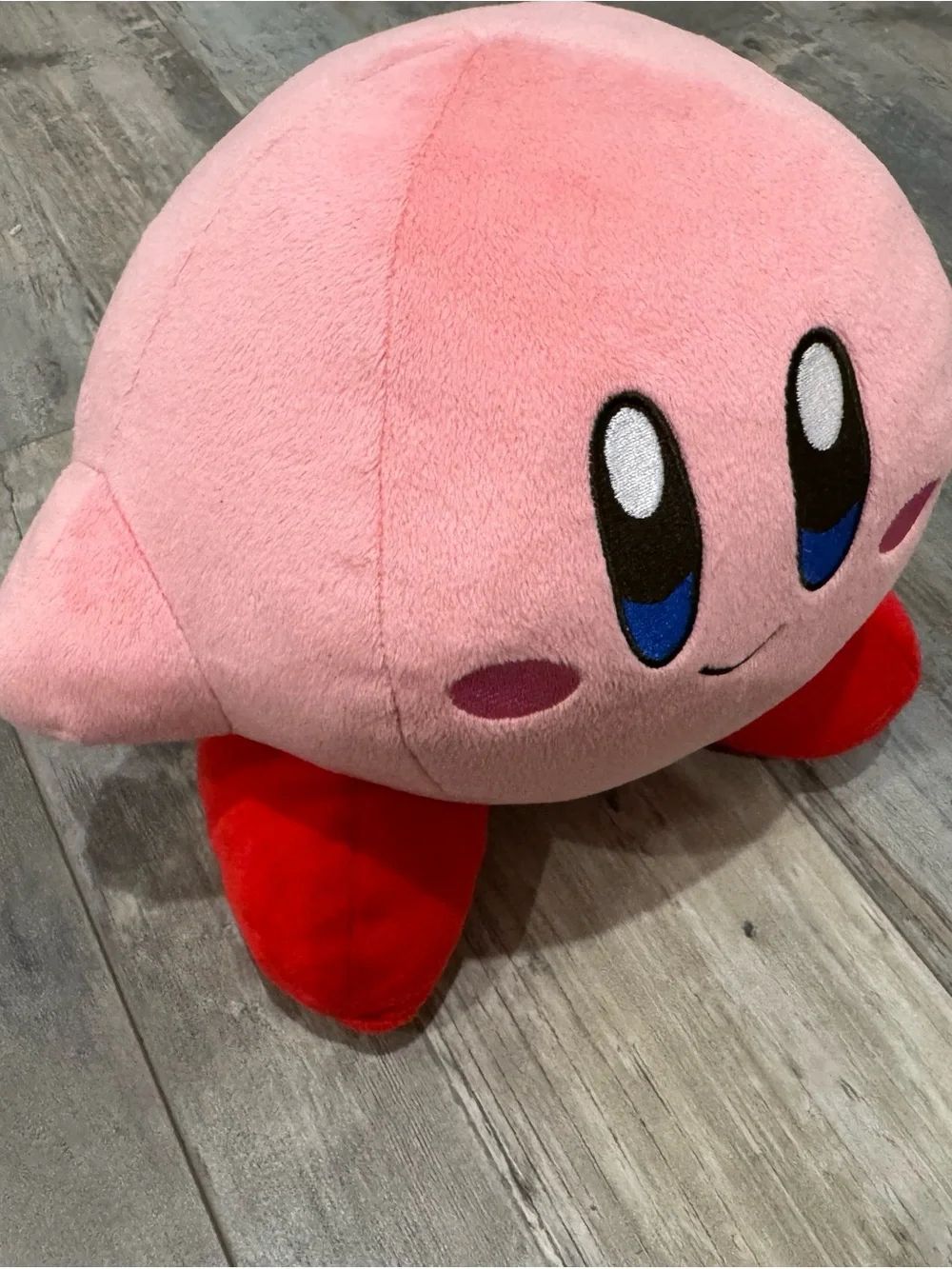 Nintendo firm ish